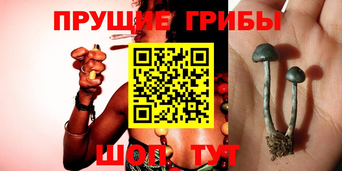 Галлюциногенные грибы GOLDEN TEACHER Дятьково